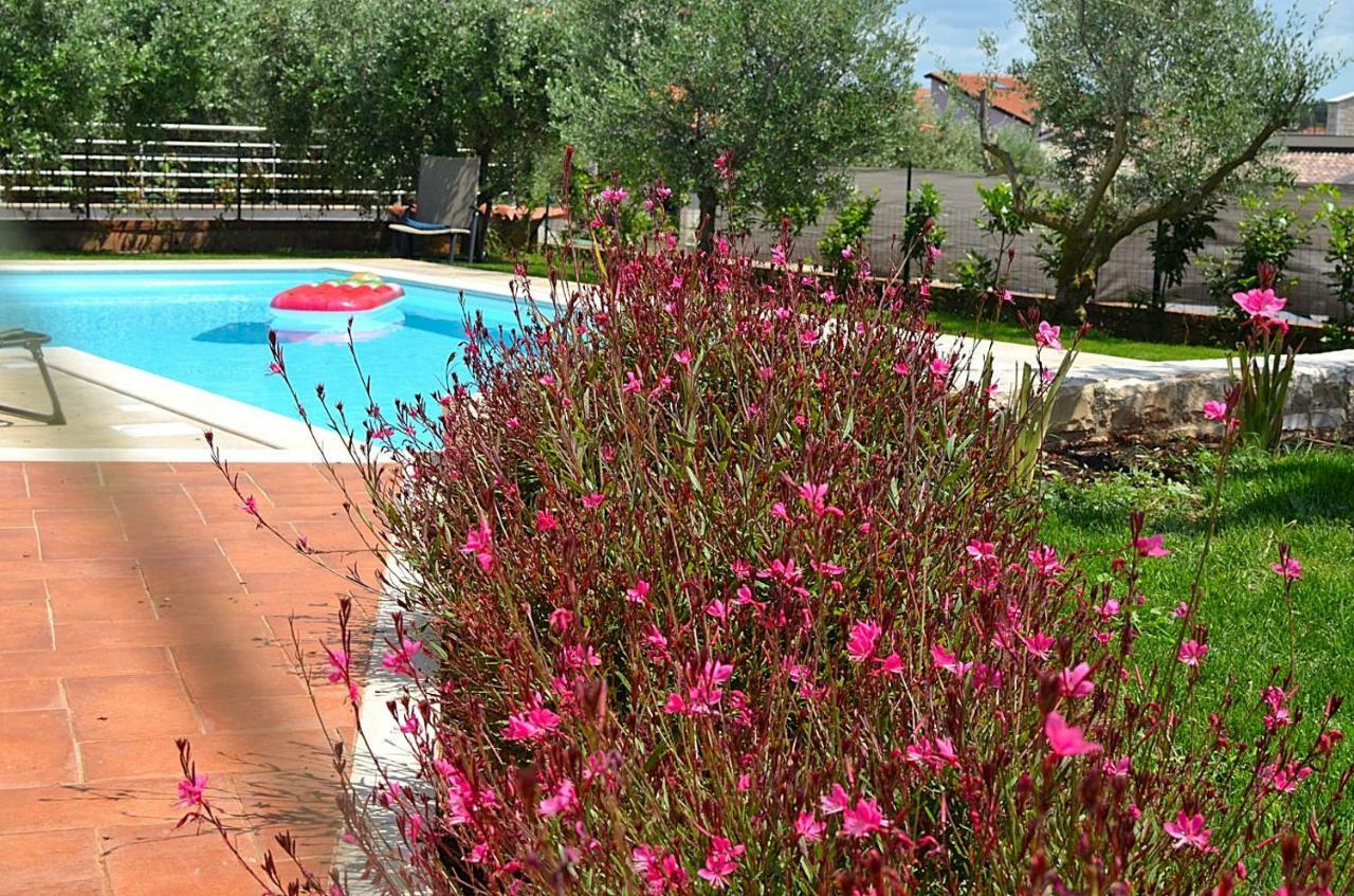 Holiday Home Sverko Novigrad Istria Dış mekan fotoğraf