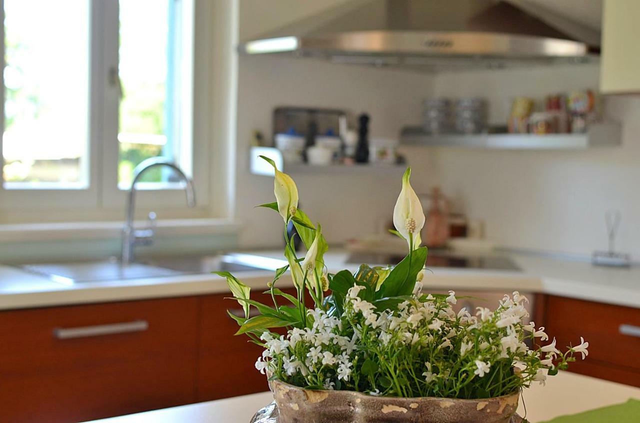 Holiday Home Sverko Novigrad Istria Dış mekan fotoğraf